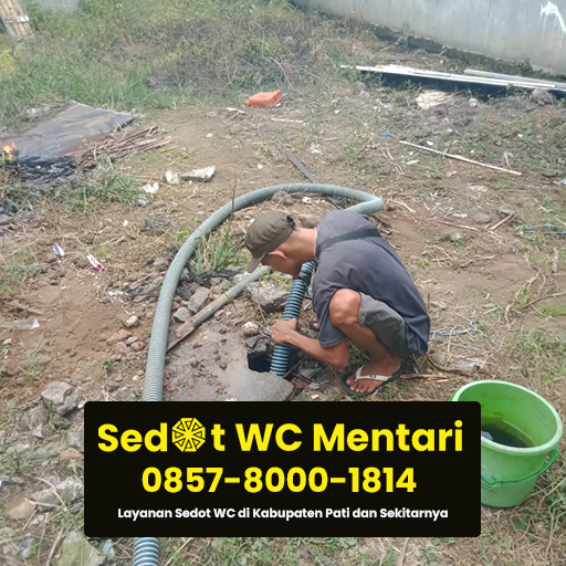 jasa sedot wc pati termurah