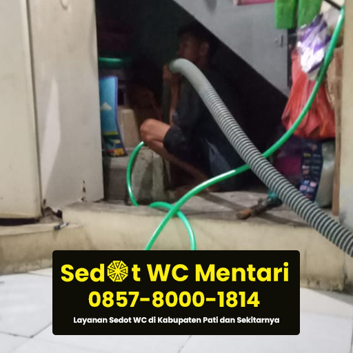 jasa sedot wc pati