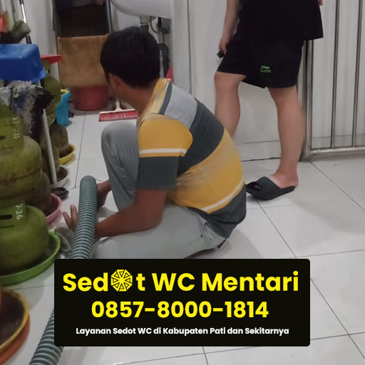 jasa sedot wc