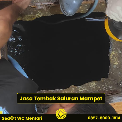 jasa tembak saluran mampet