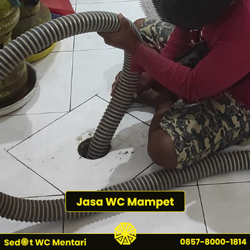 jasa wc mampet