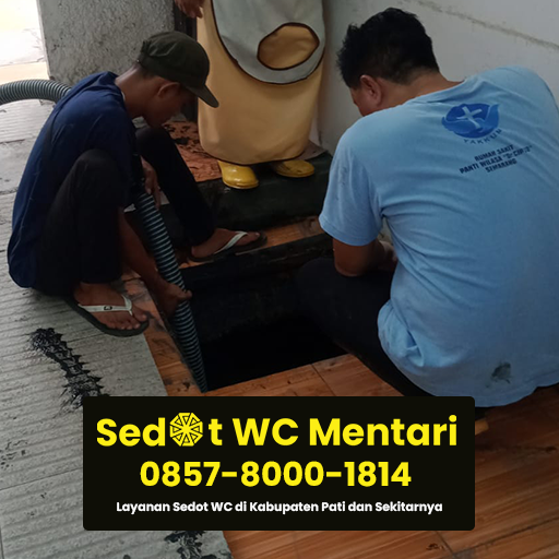 sedot wc